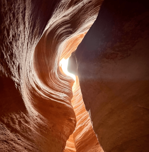 A narrow canyon with smooth, swirling rock walls and sunlight streaming through the top, creating a warm glow.